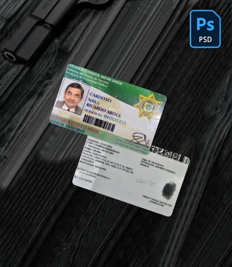 Mexico Yucatan state driving license PSD